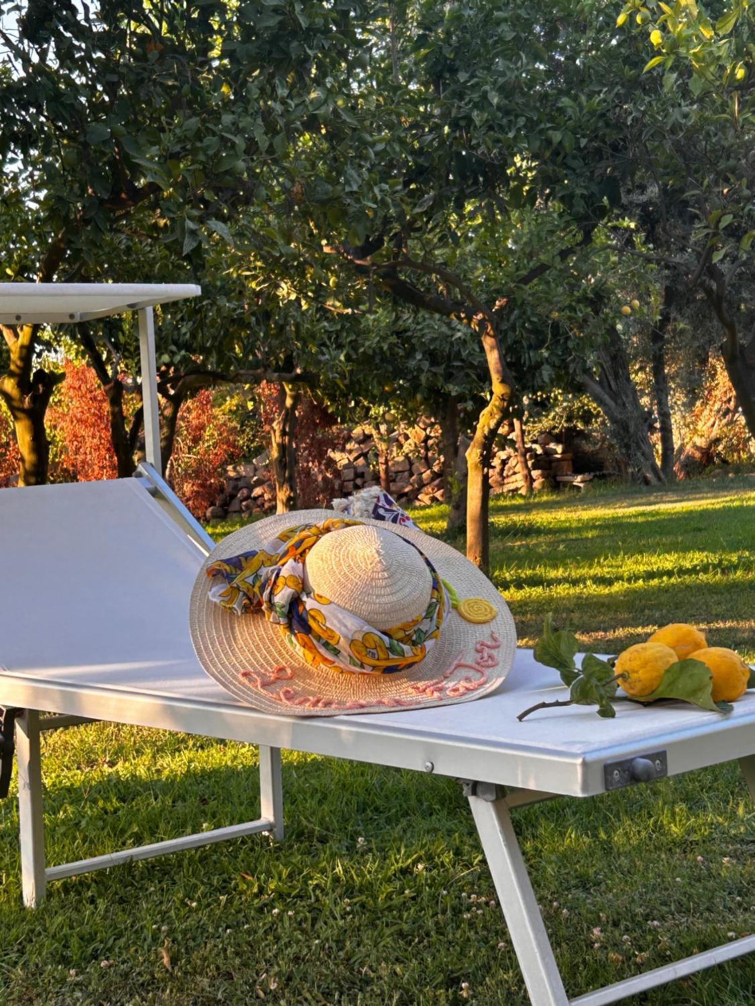 Lemon Factor 3* Sorrente
